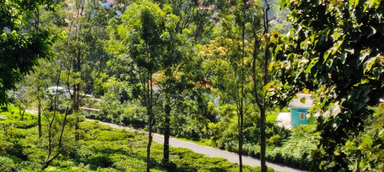 Adithya Sunrise View Cottage Kotagiri Esterno foto